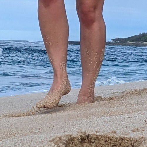 well_traveled_feet's avatar