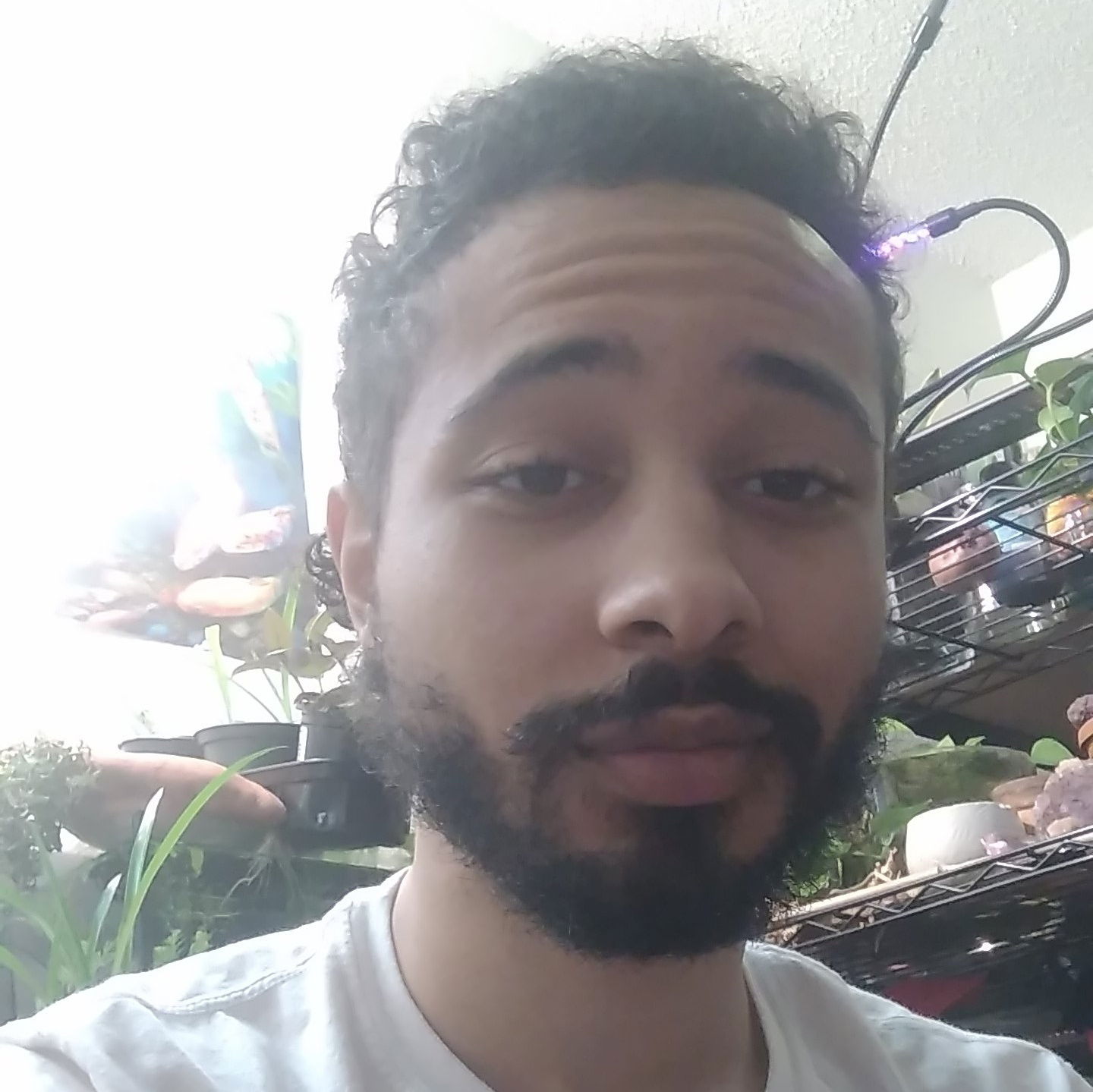 Tha Mixed King's avatar
