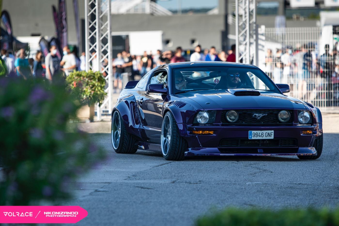 Wide Mustang 🔥's avatar