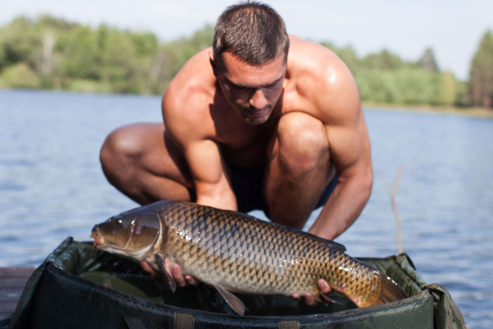WildCarp's avatar