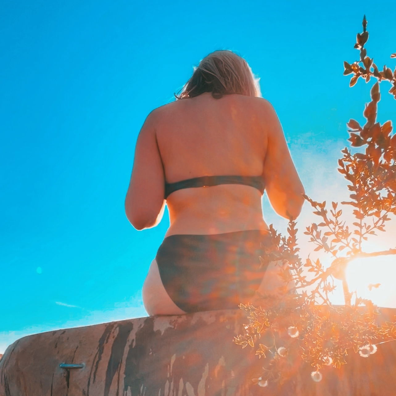 wildernips's avatar
