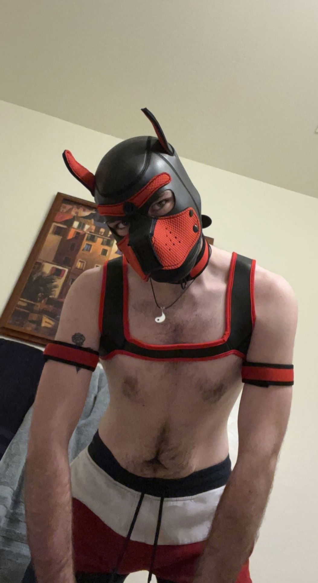 Willy D's avatar