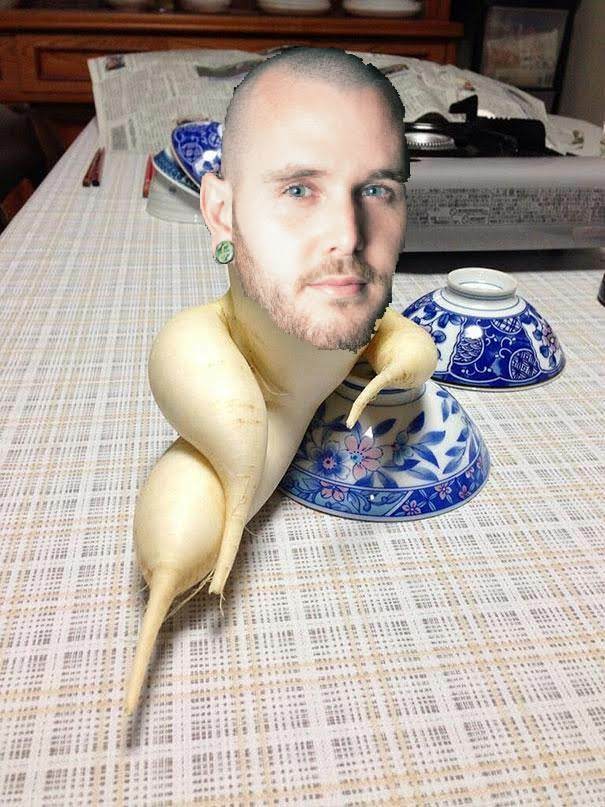 Matt Taylor