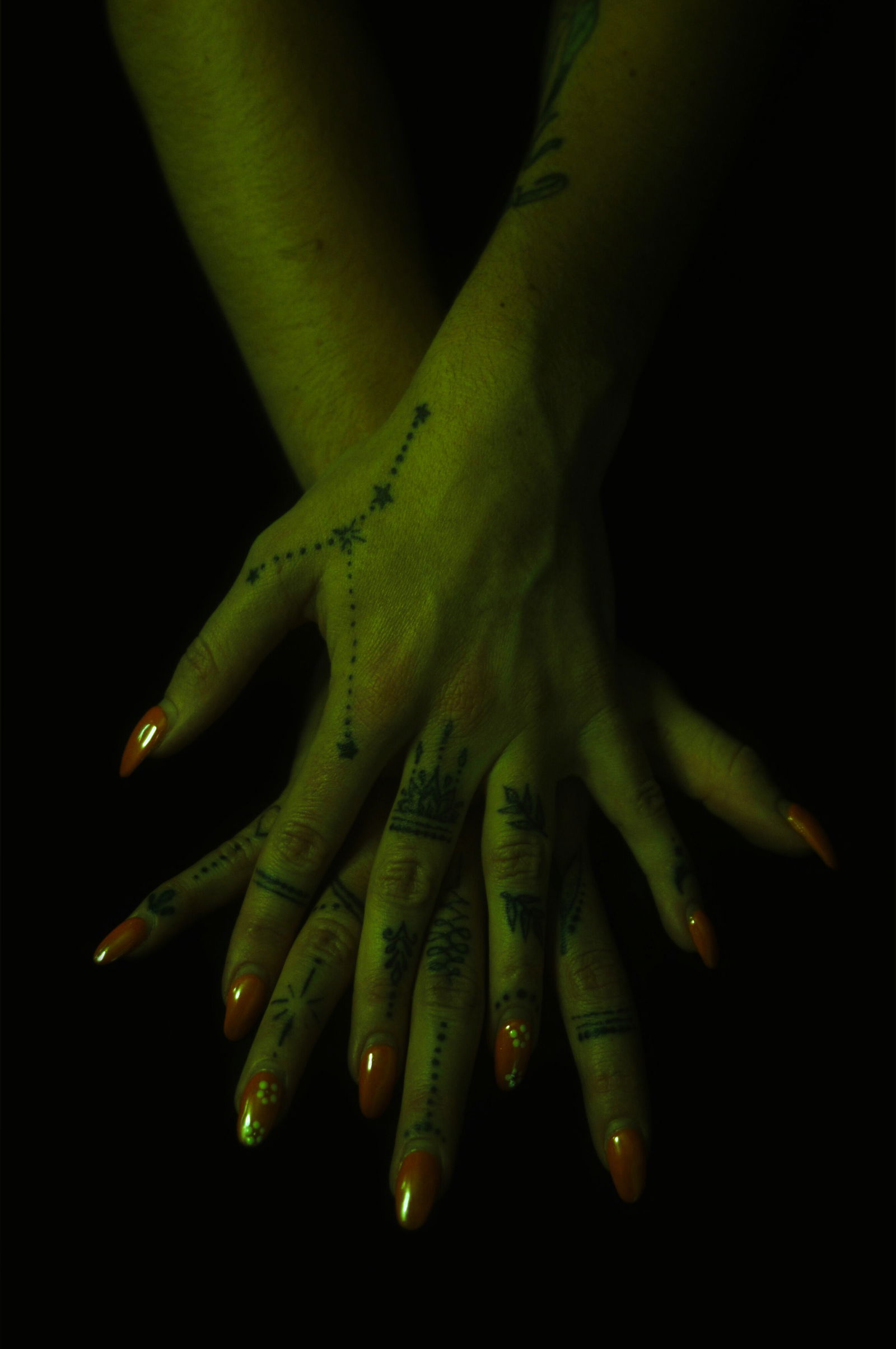 Wyatt T. Photography's avatar