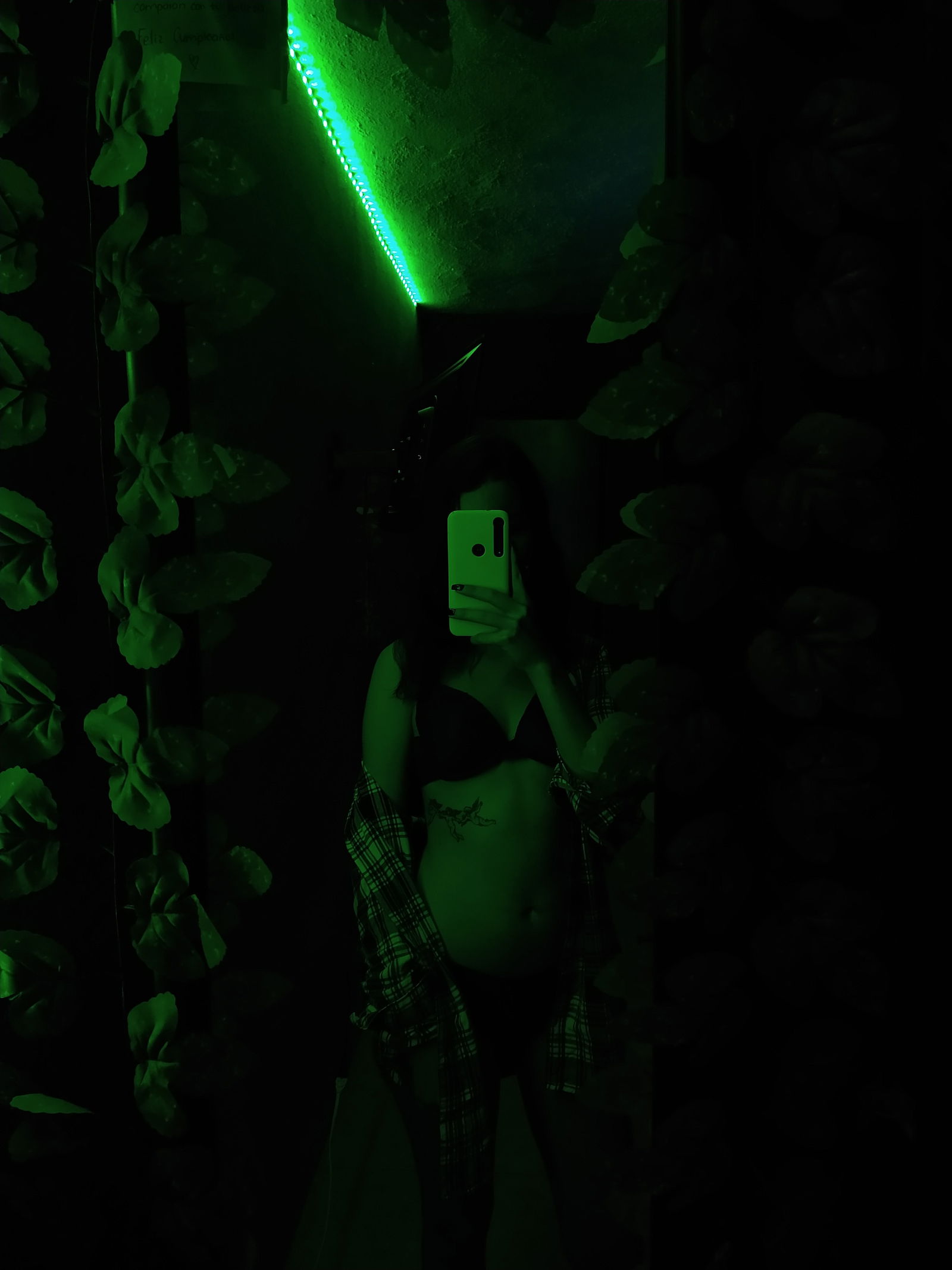 xlo✨'s avatar