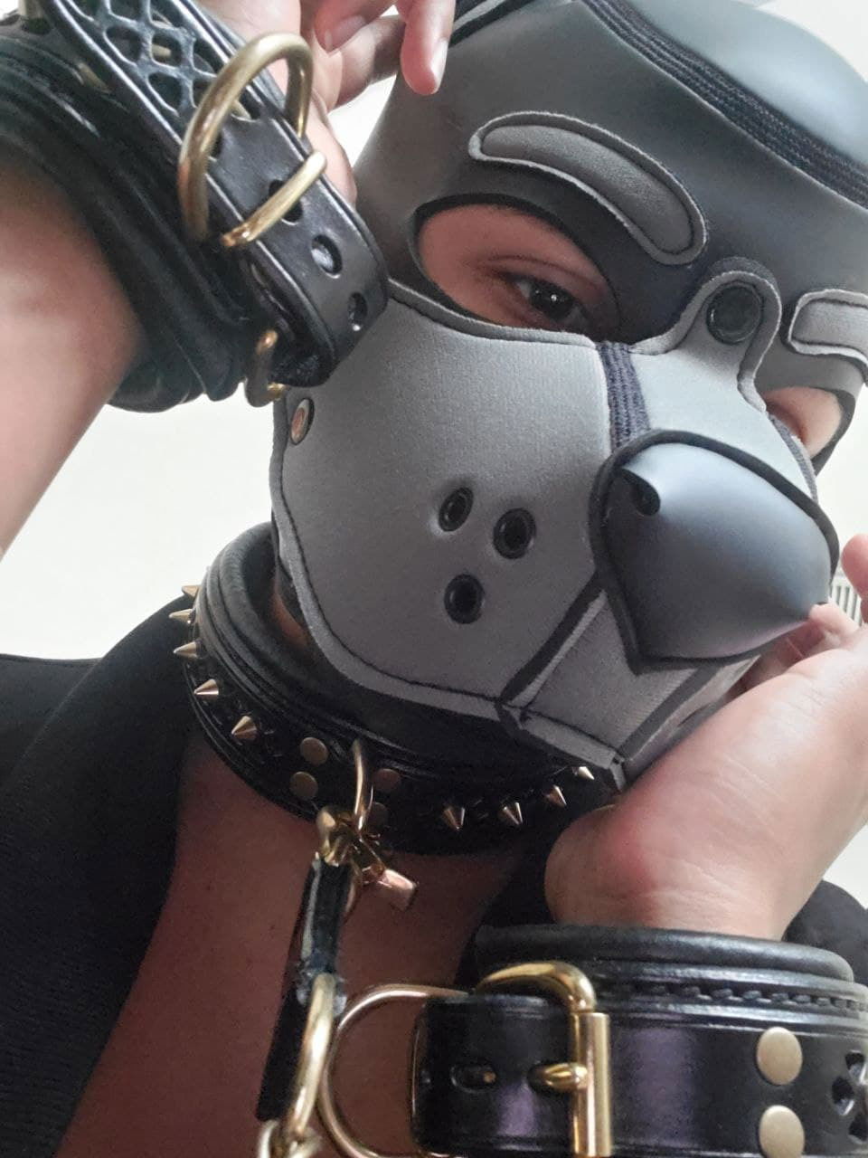Yeen Pup Bean's avatar