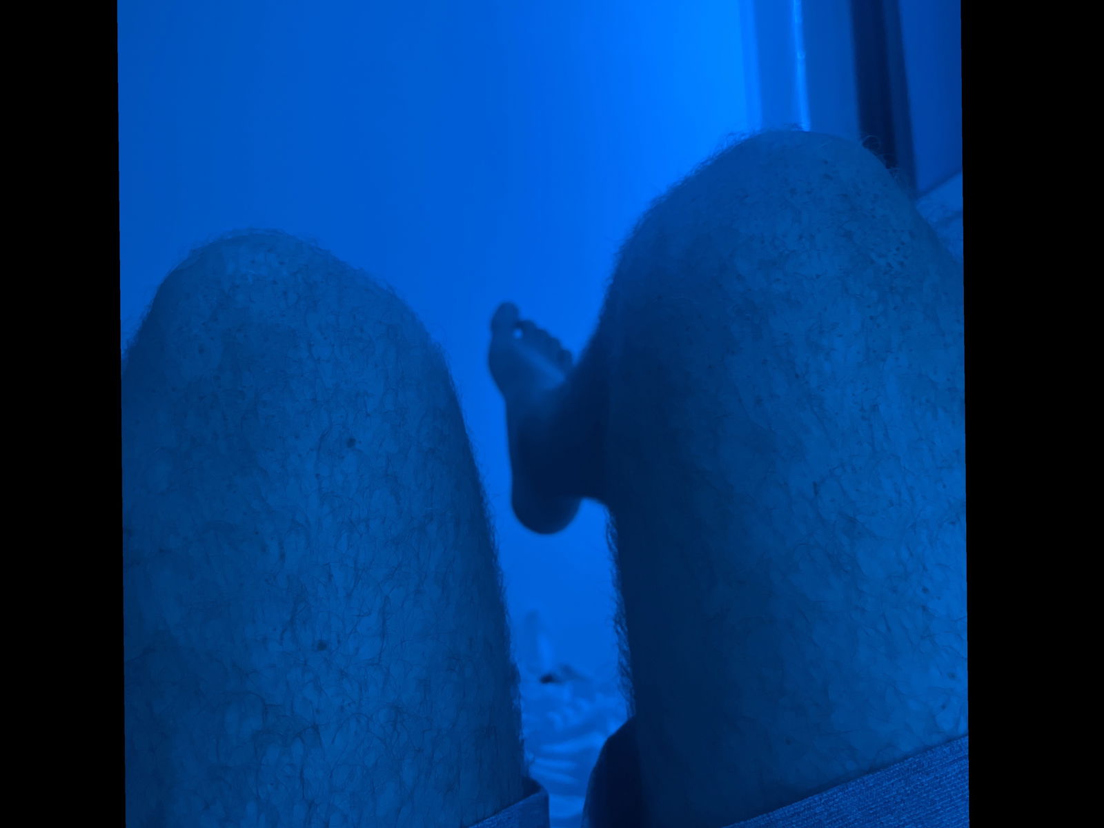 Your knees's avatar