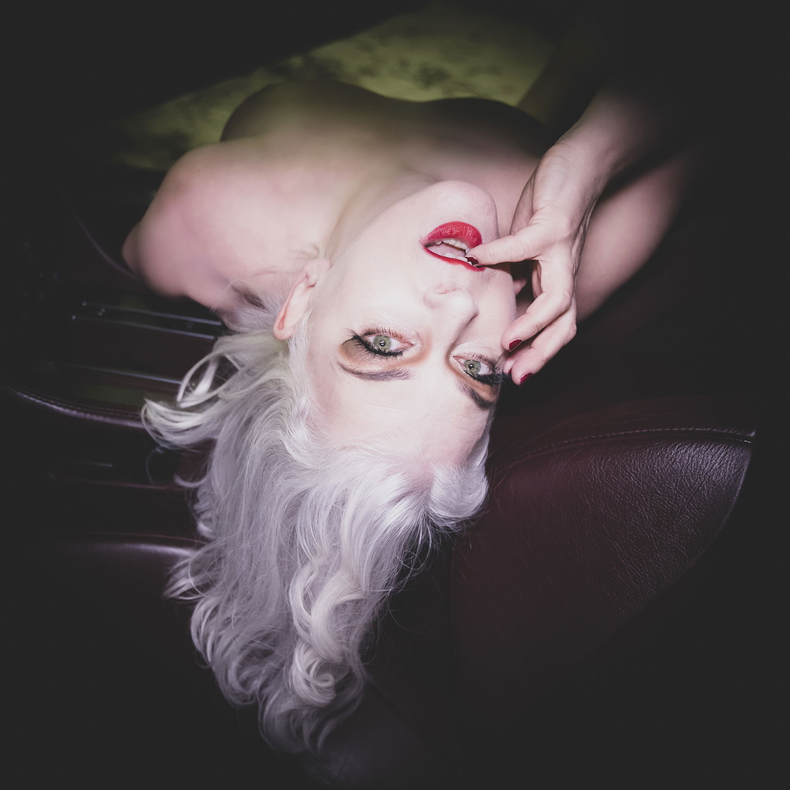 Your Silver Siren's avatar