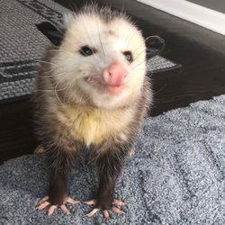 yywwuuss's avatar