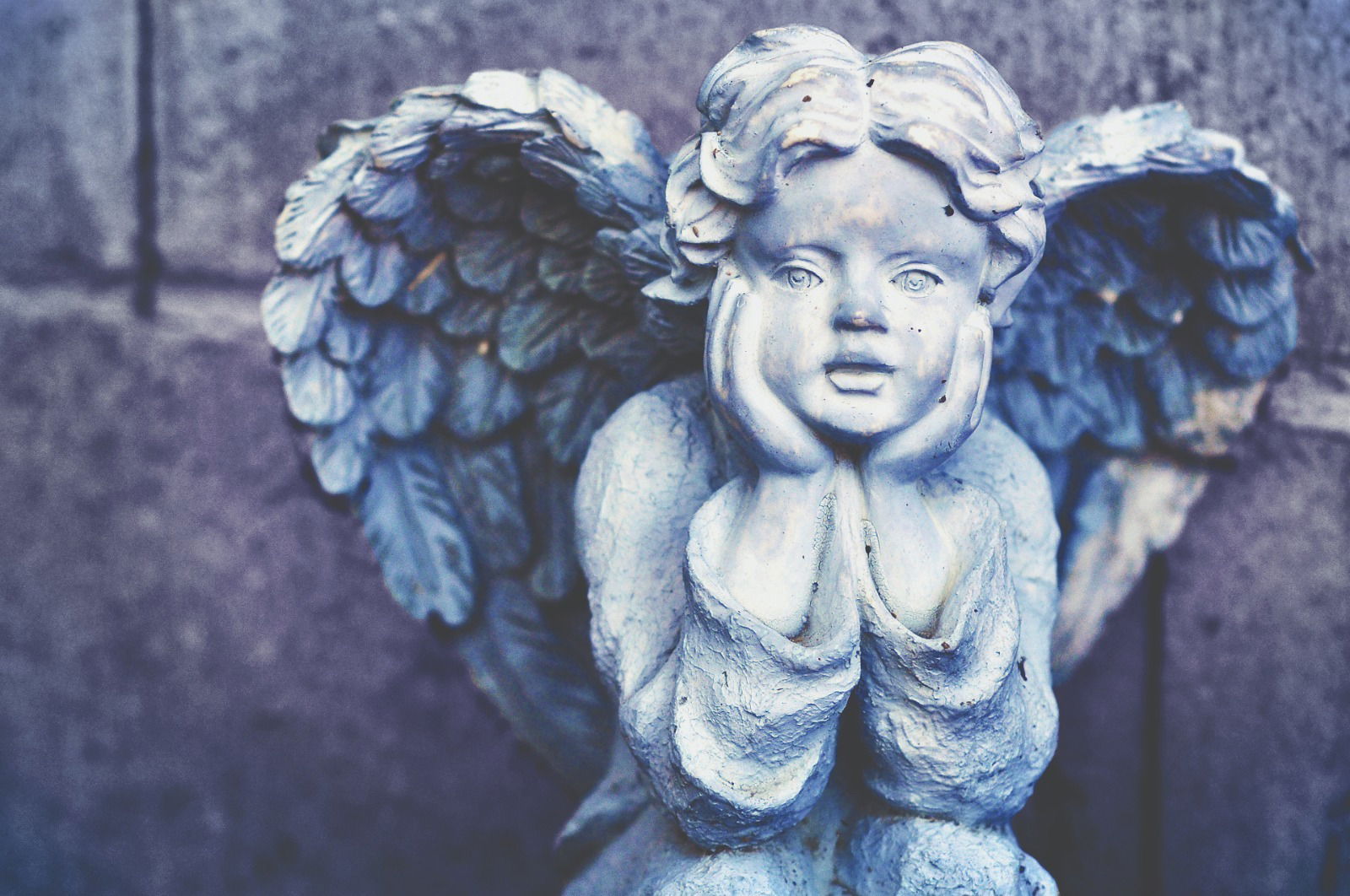 Zaddy Angels