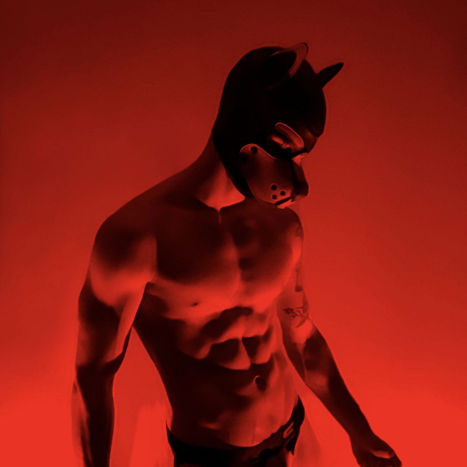 Zander's avatar
