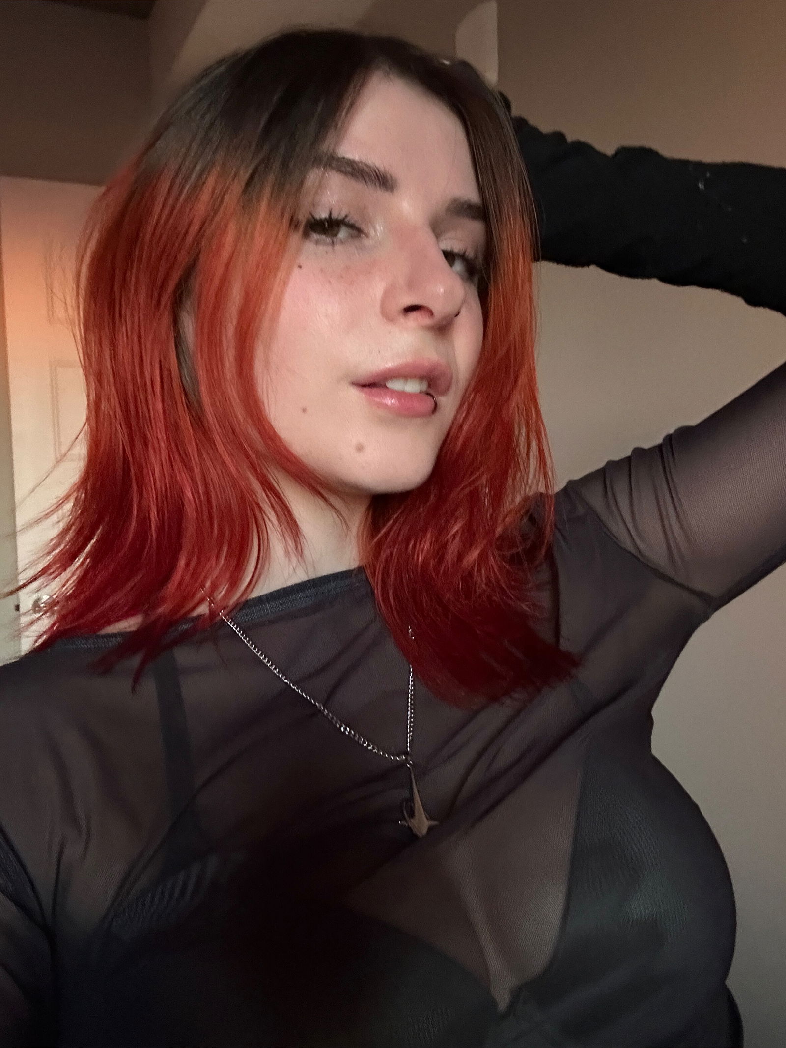 zastela