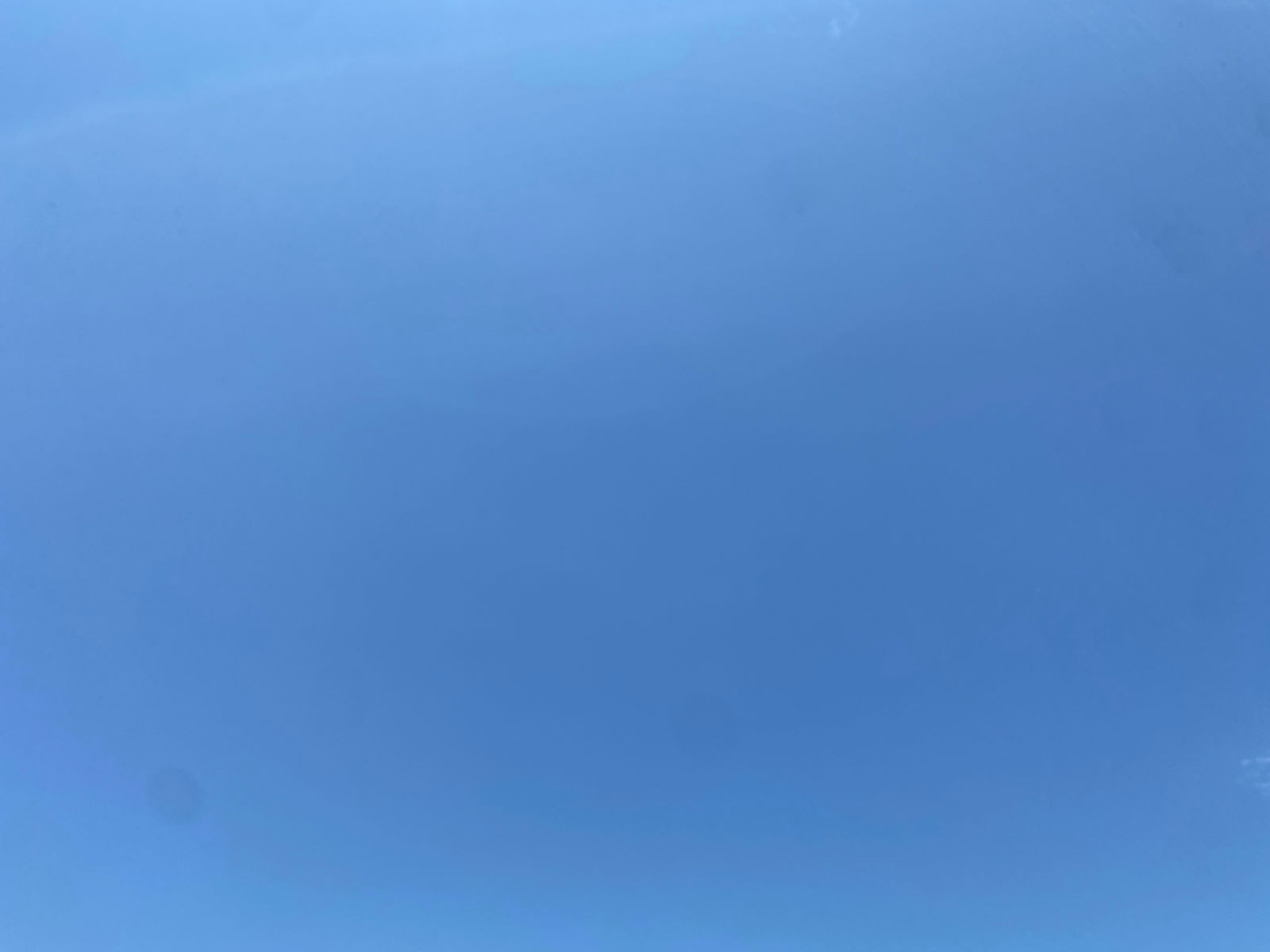 Elijah's avatar