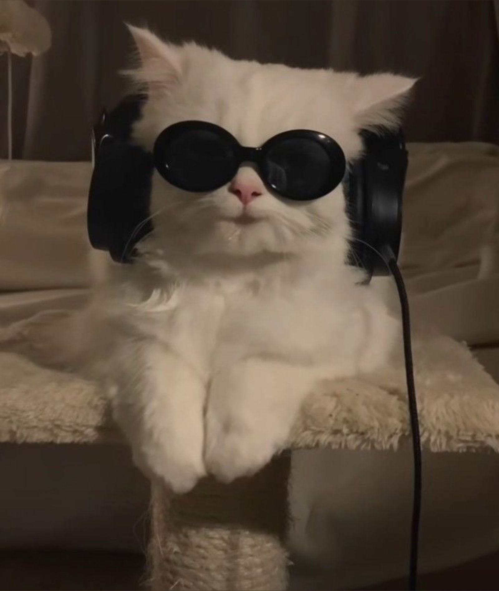 kat