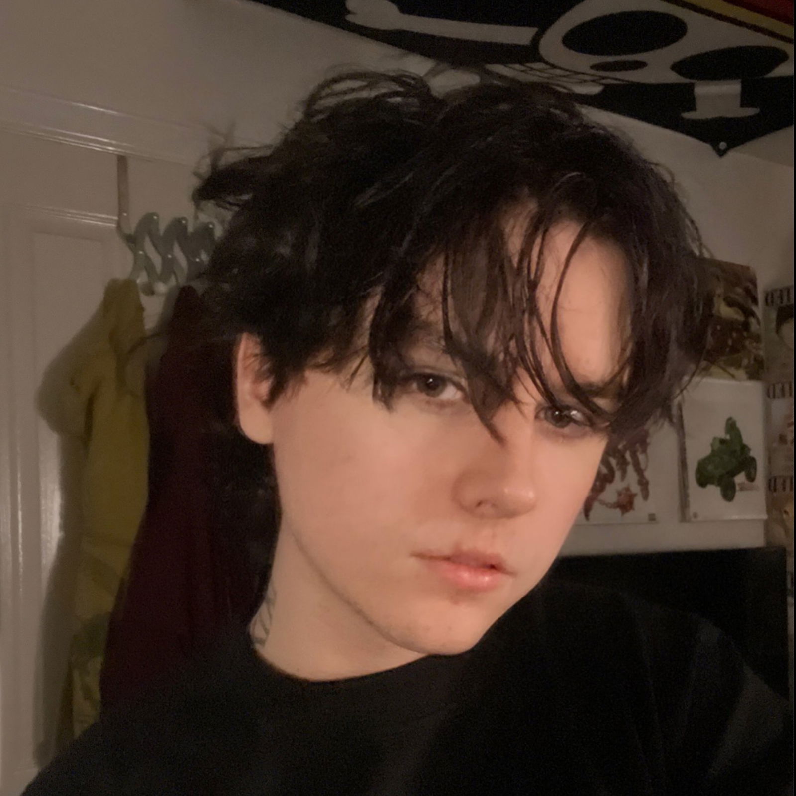Z's avatar