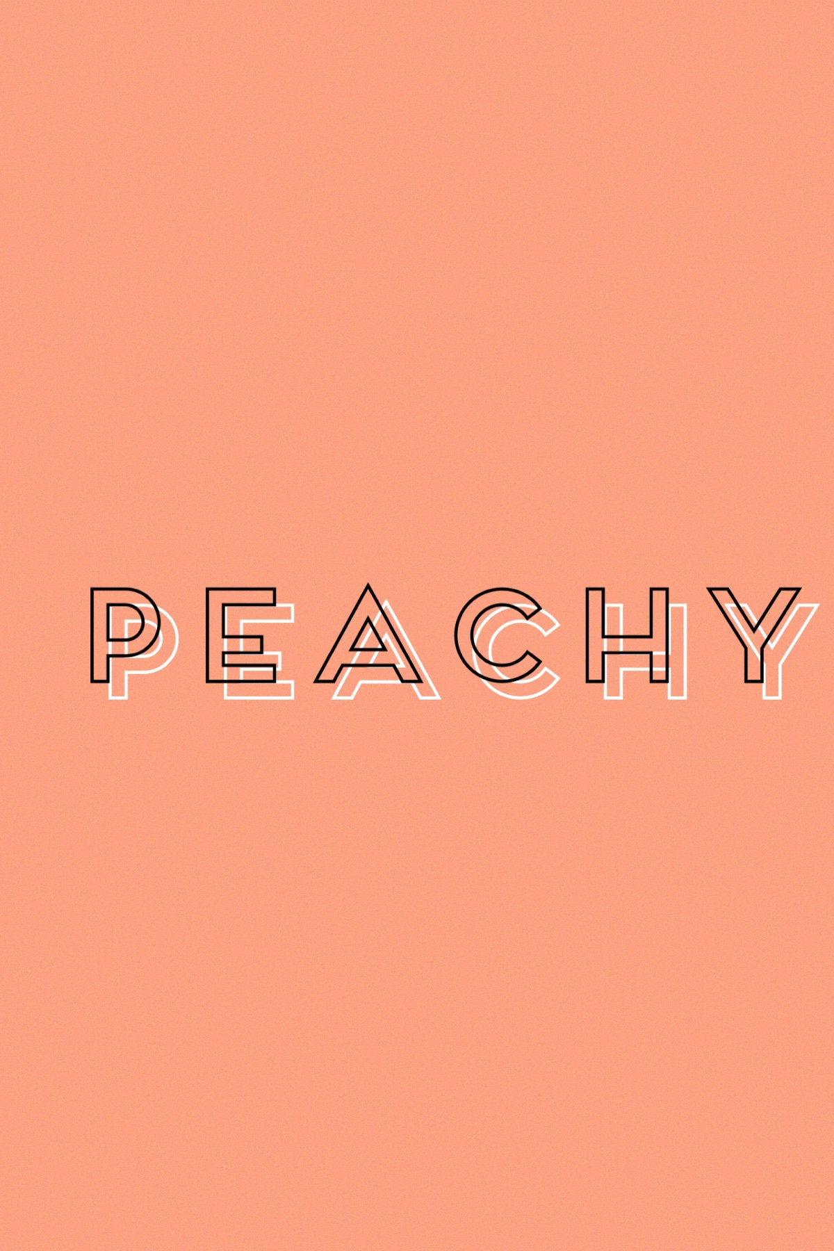 Allyyy cat π± profile banner