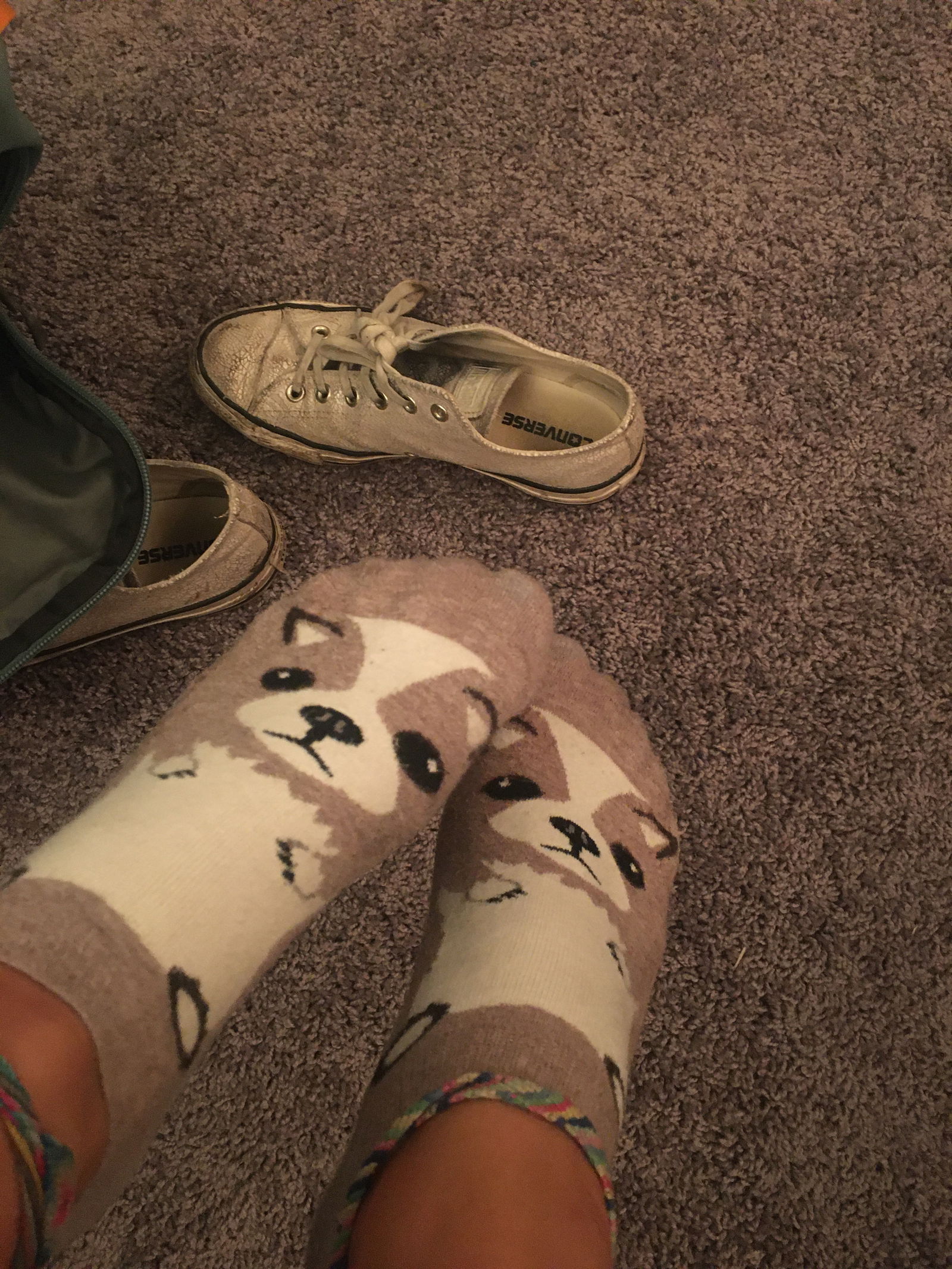 Abby Grace's Feet profile banner