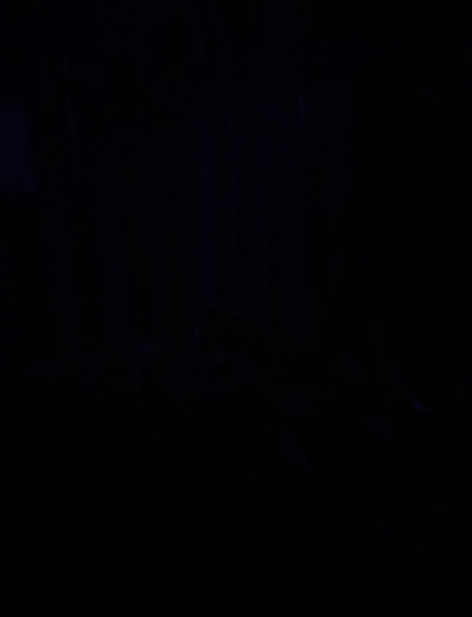 Abby Lynn πΆοΈπ profile banner