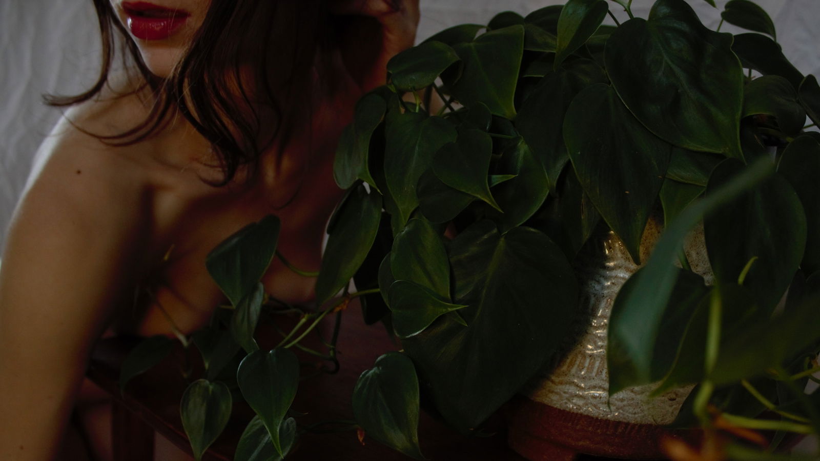 Abby Lucy profile banner
