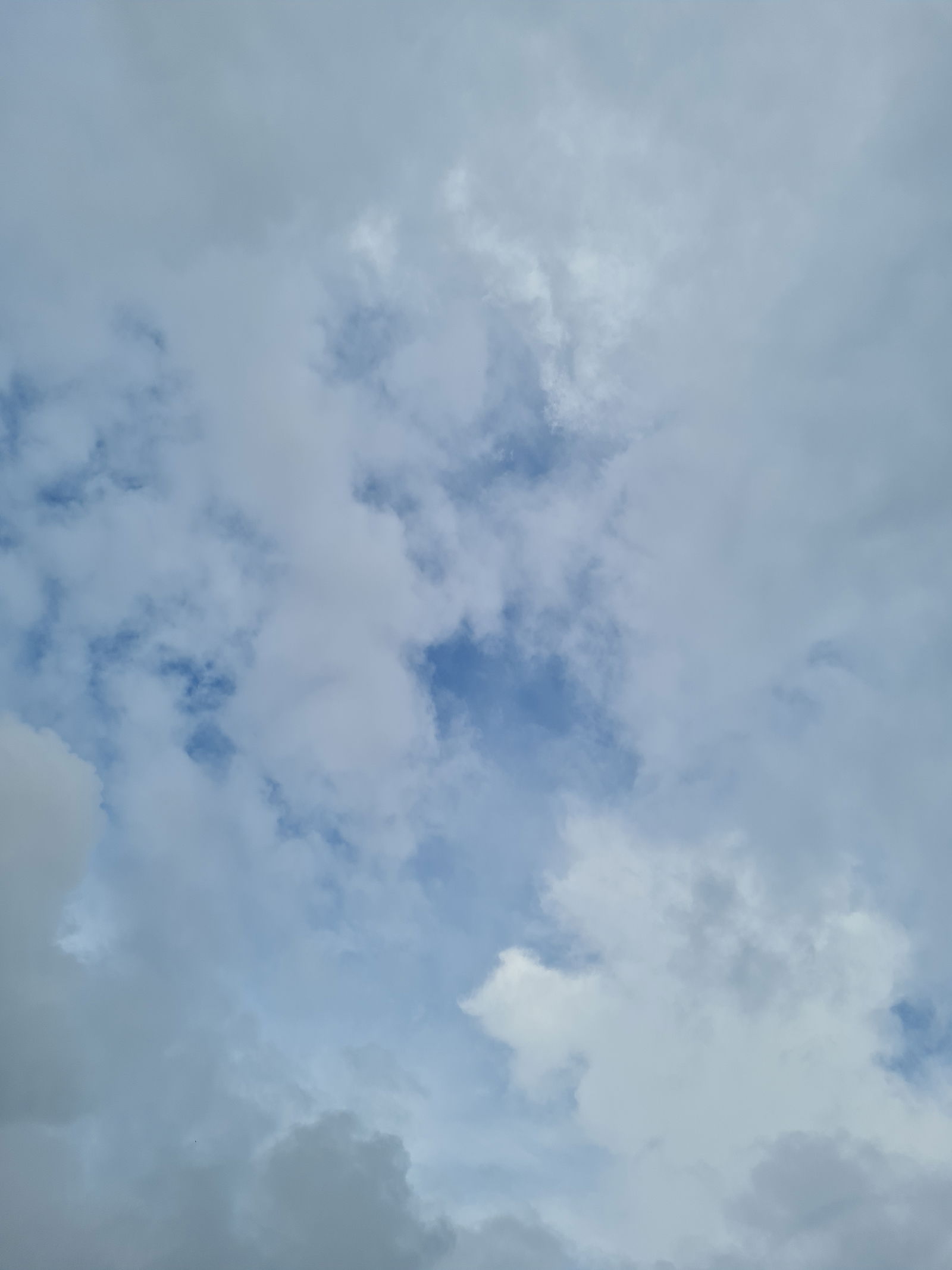 1234567 profile banner
