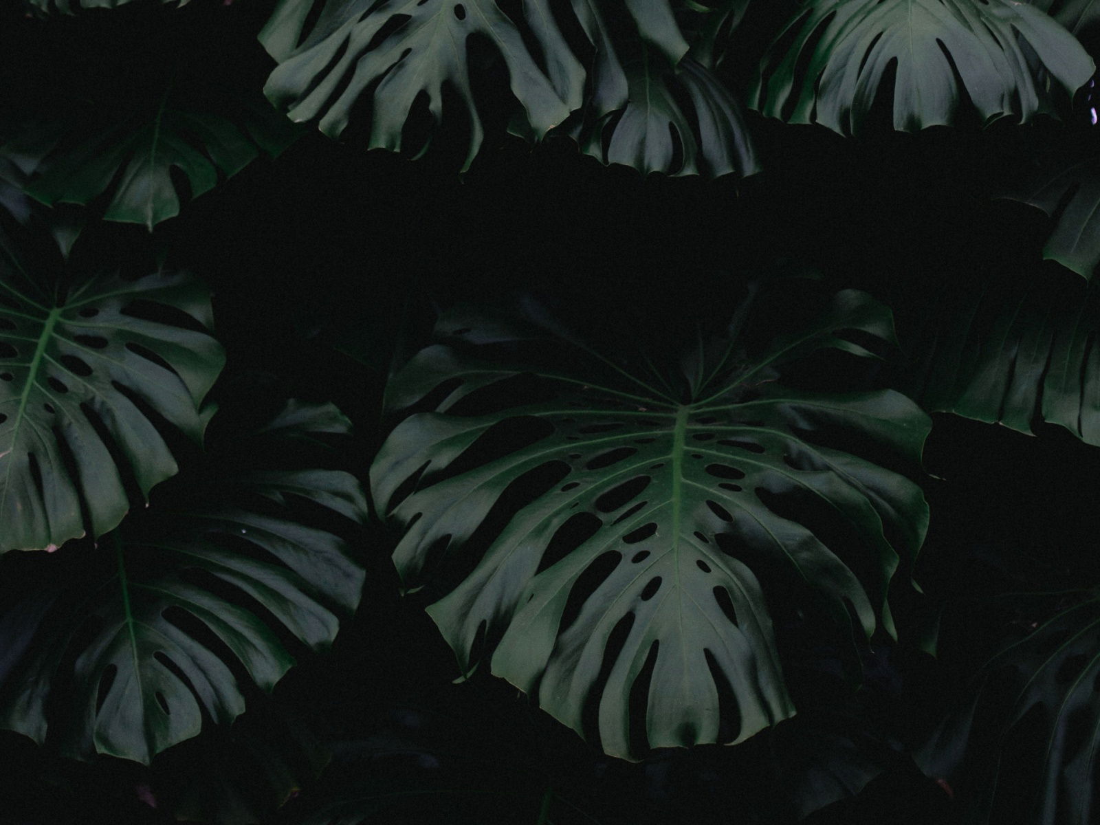 Acid profile banner