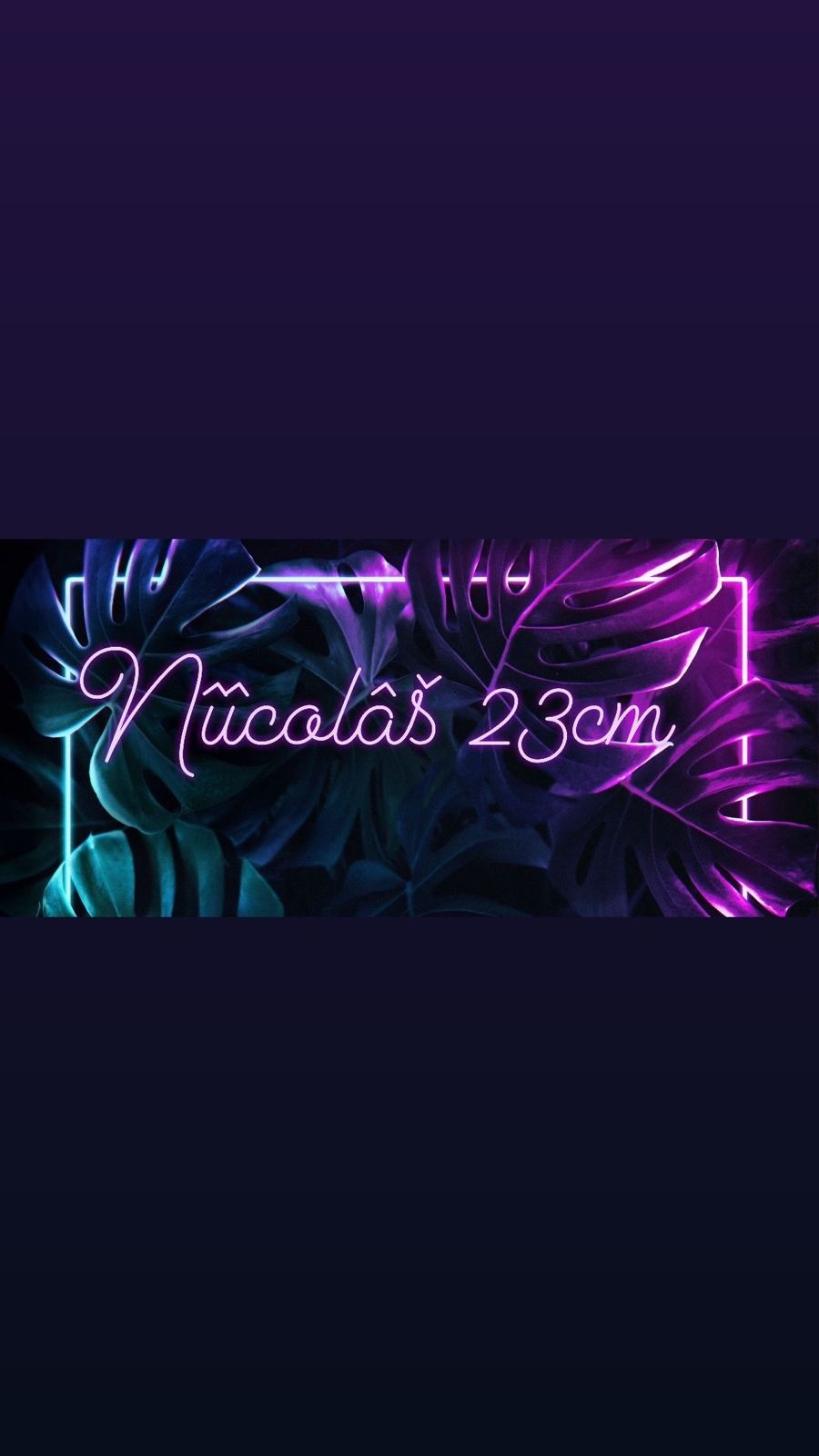 Nicolas Cardozo profile banner