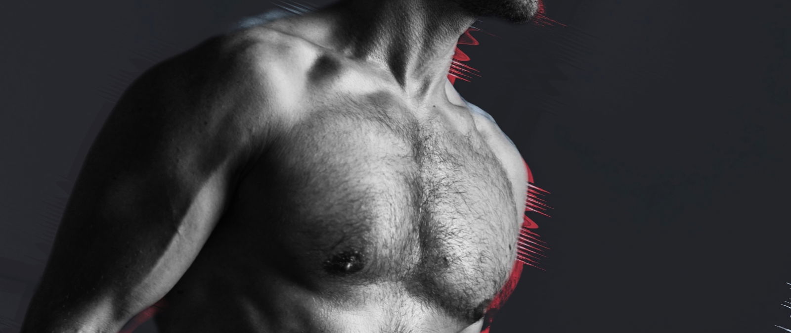 adamhungxxl banner
