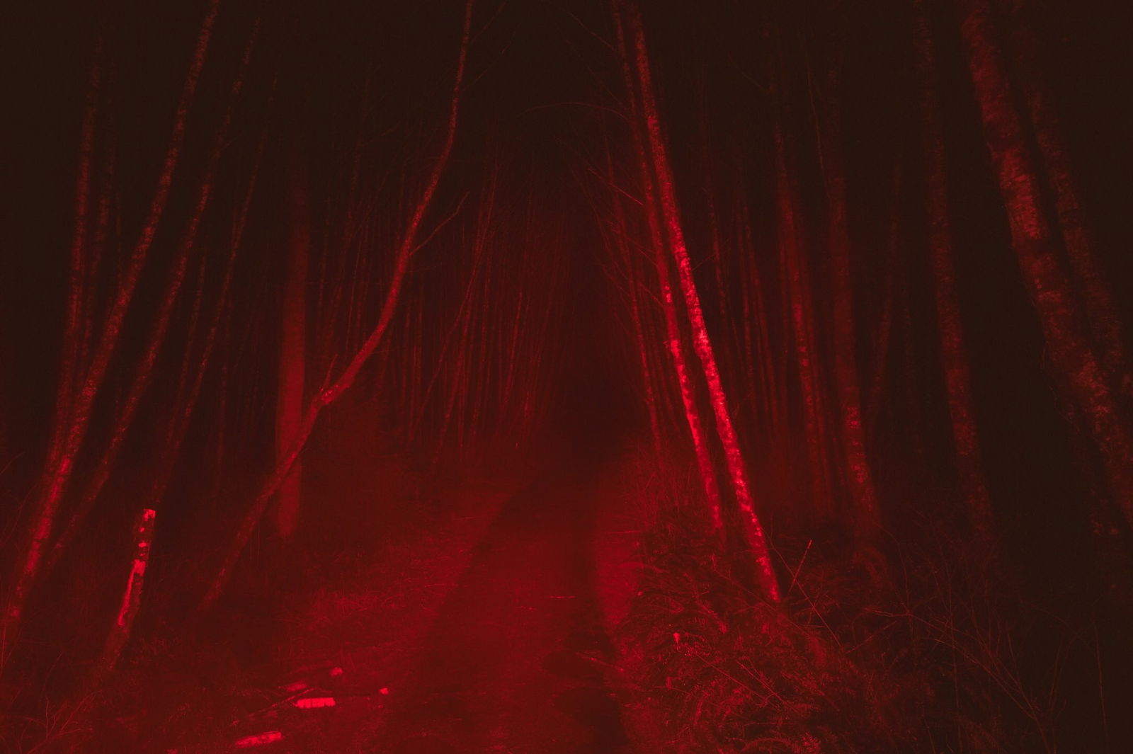 adam profile banner