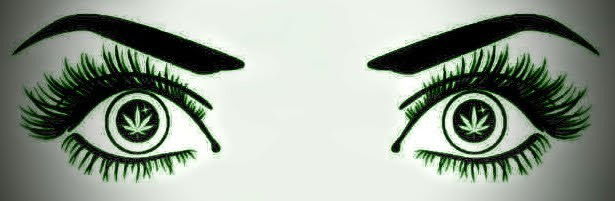 Addy Panda profile banner