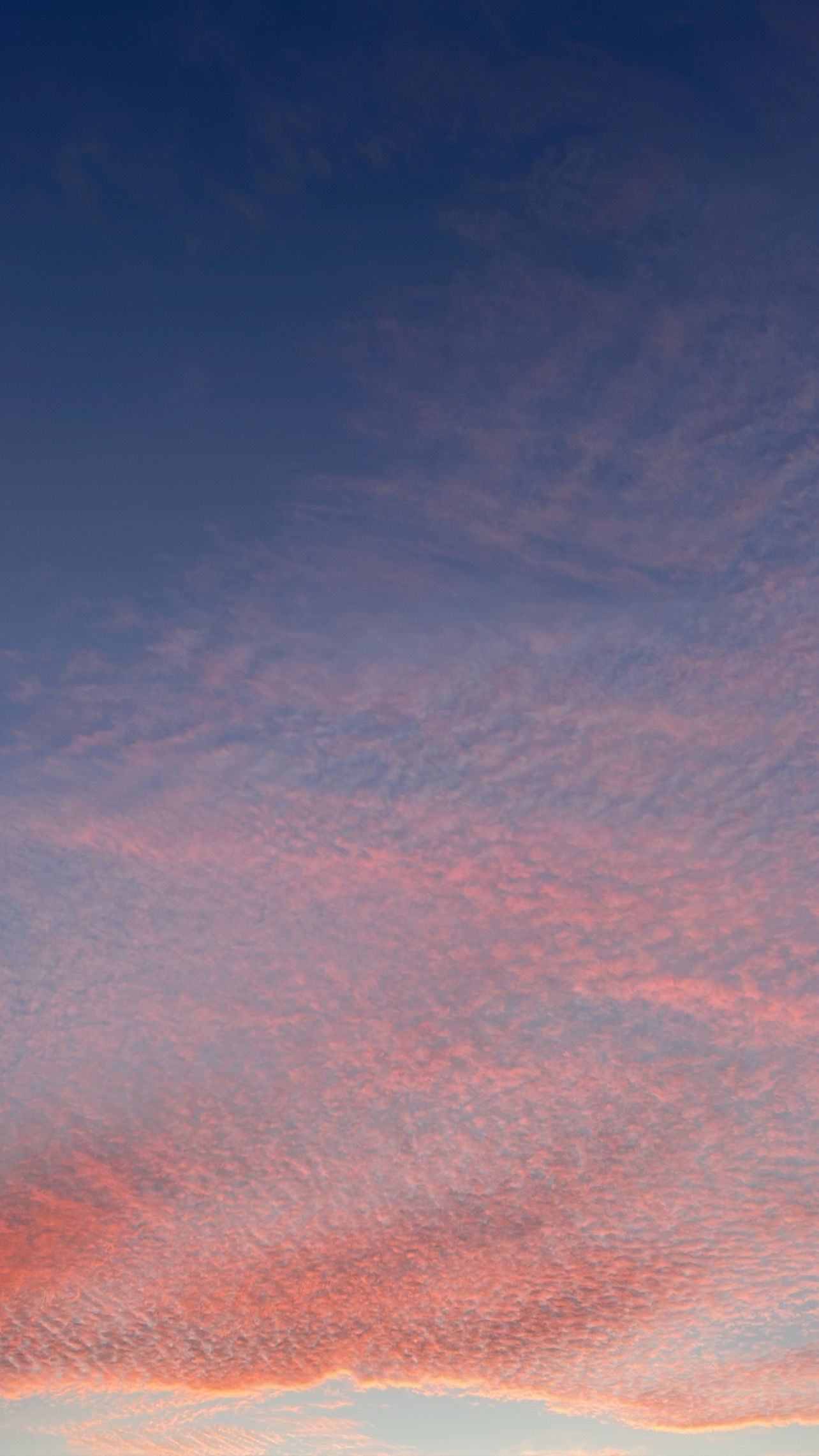 Afrodita Blanco profile banner