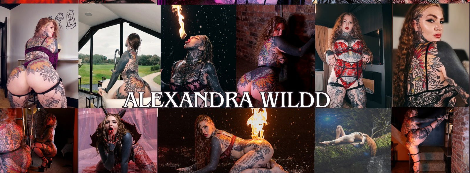 𝓐𝓵𝓮𝔁𝓪𝓷𝓭𝓻𝓪 𝓦𝓲𝓵𝓭𝓭 profile banner