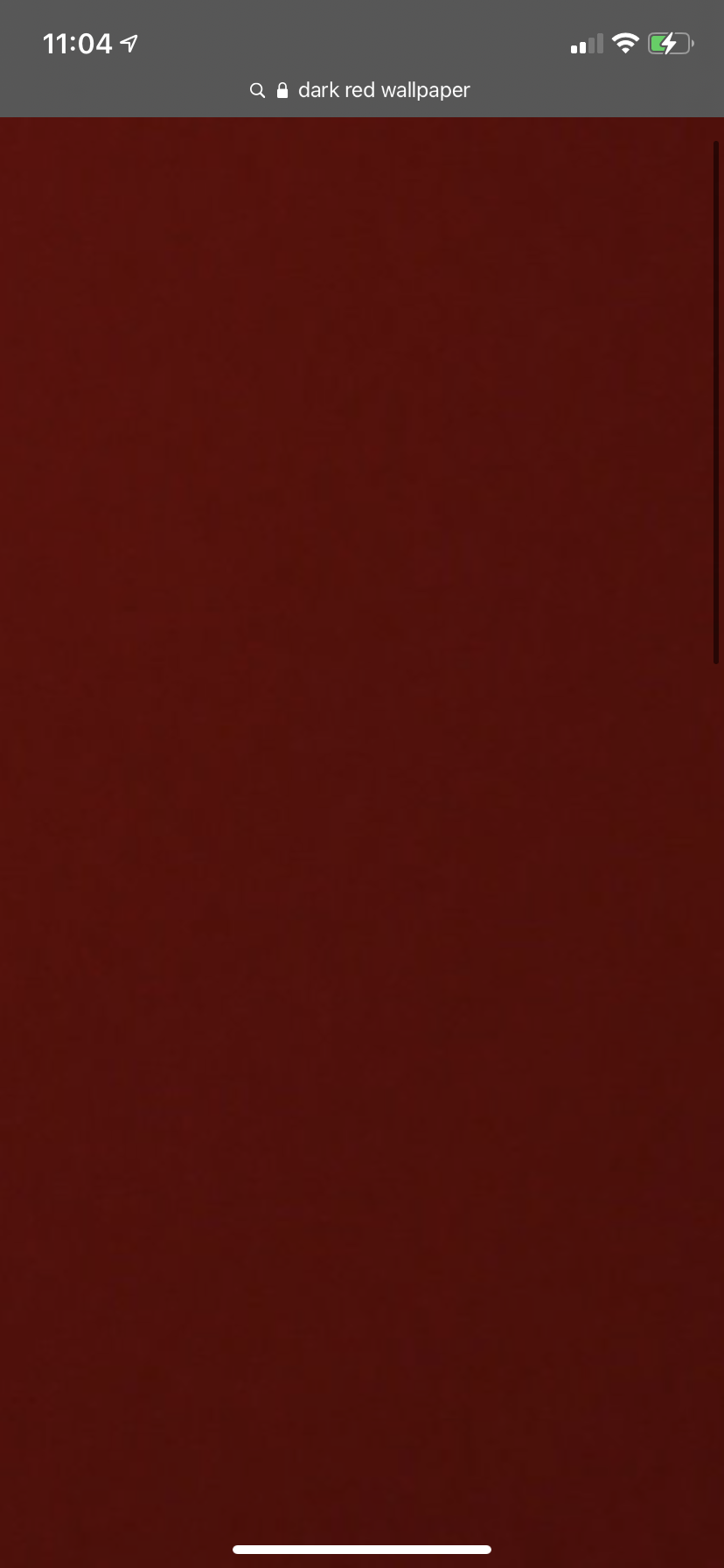 Alexia Wilson profile banner