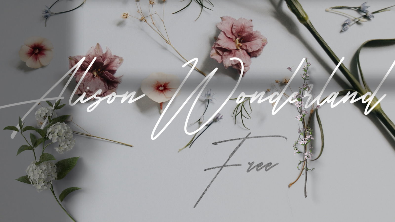 Alisonwonderland profile banner