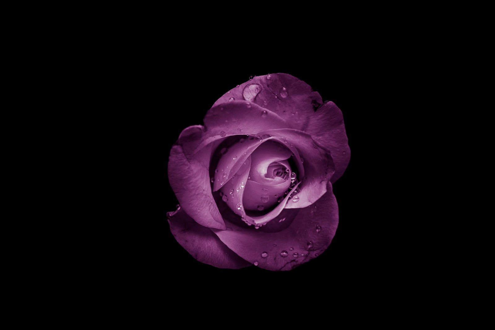 Alix Nixx profile banner