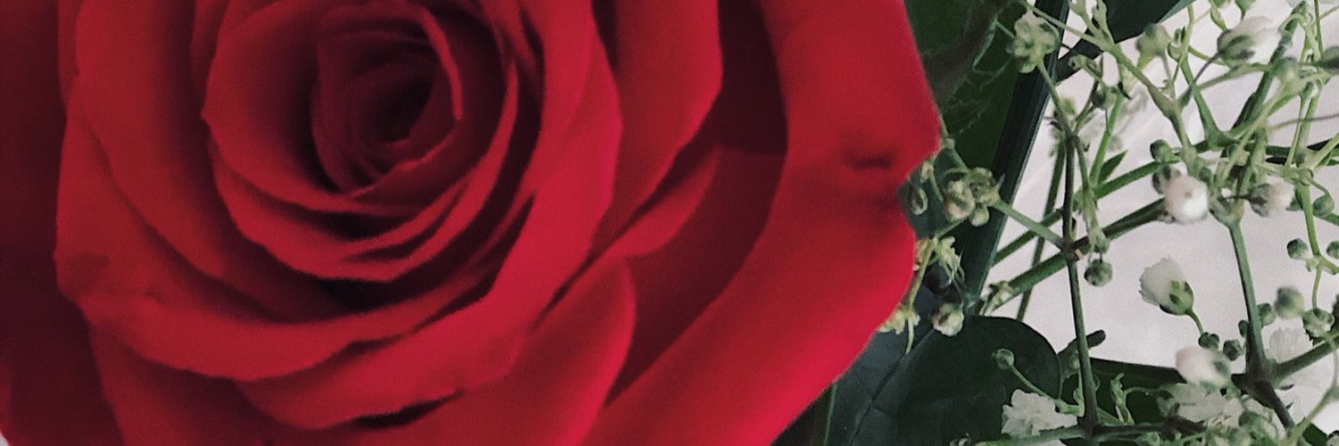 Amber rae fowler profile banner