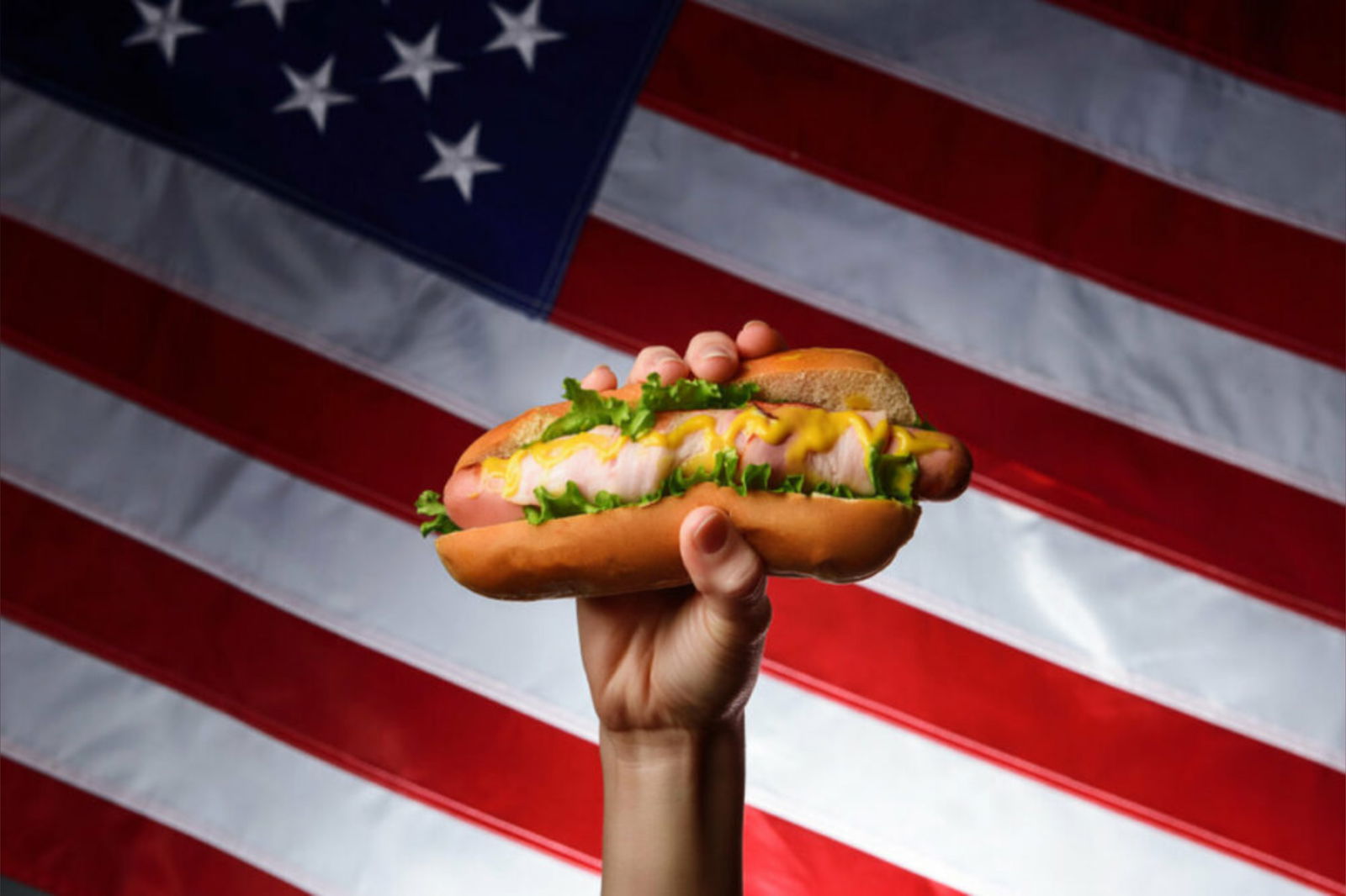 All-American Bulge profile banner