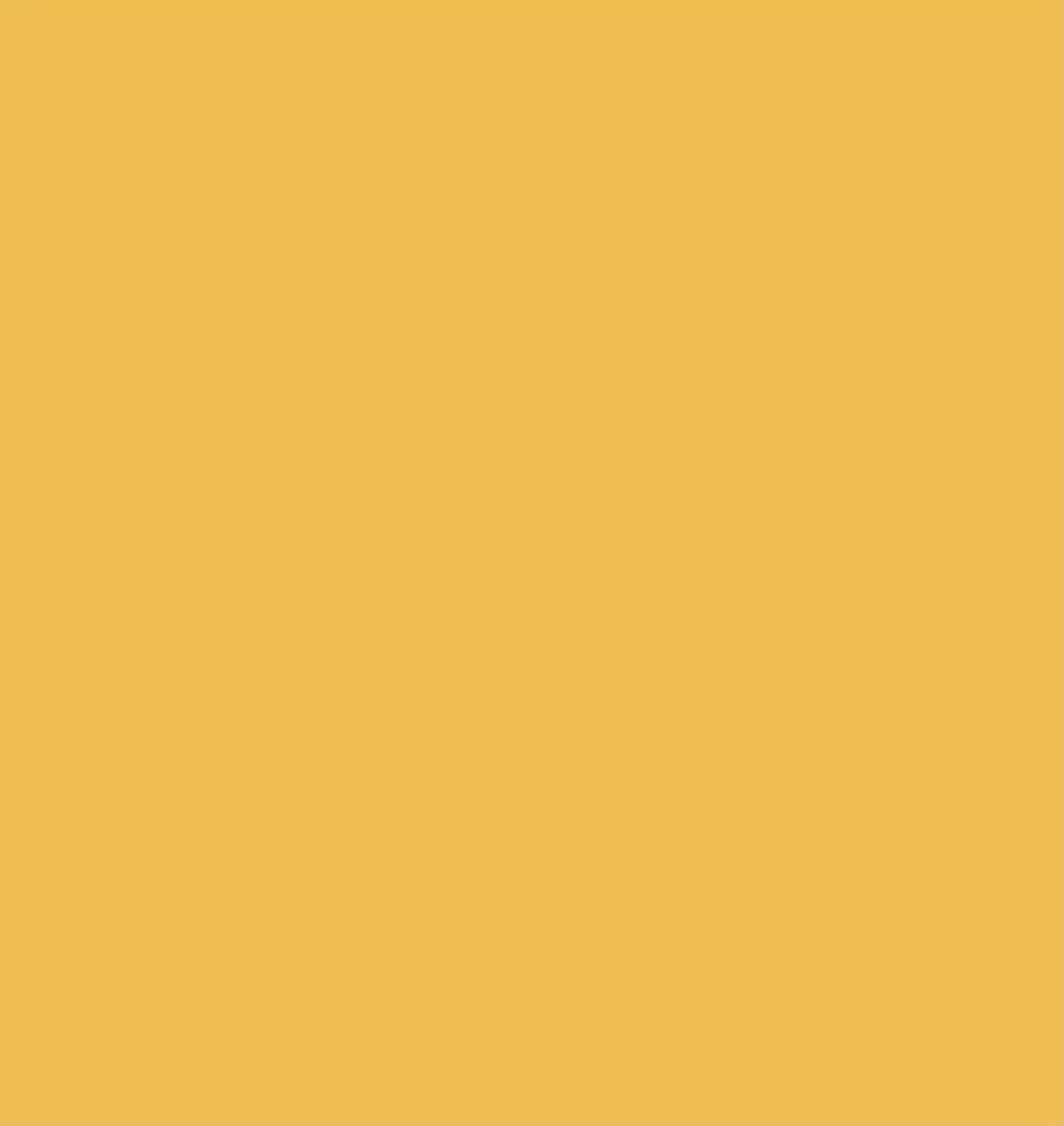 Amy Fit X profile banner