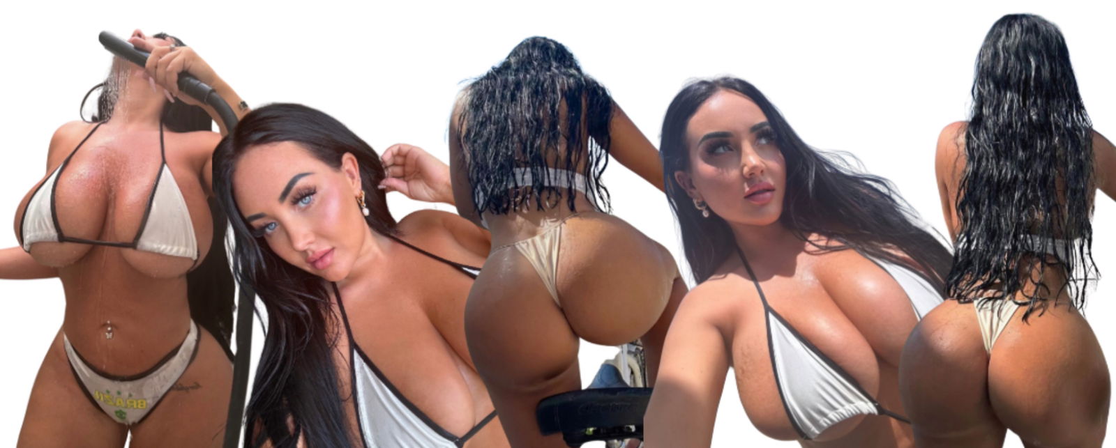 amysophiafree banner