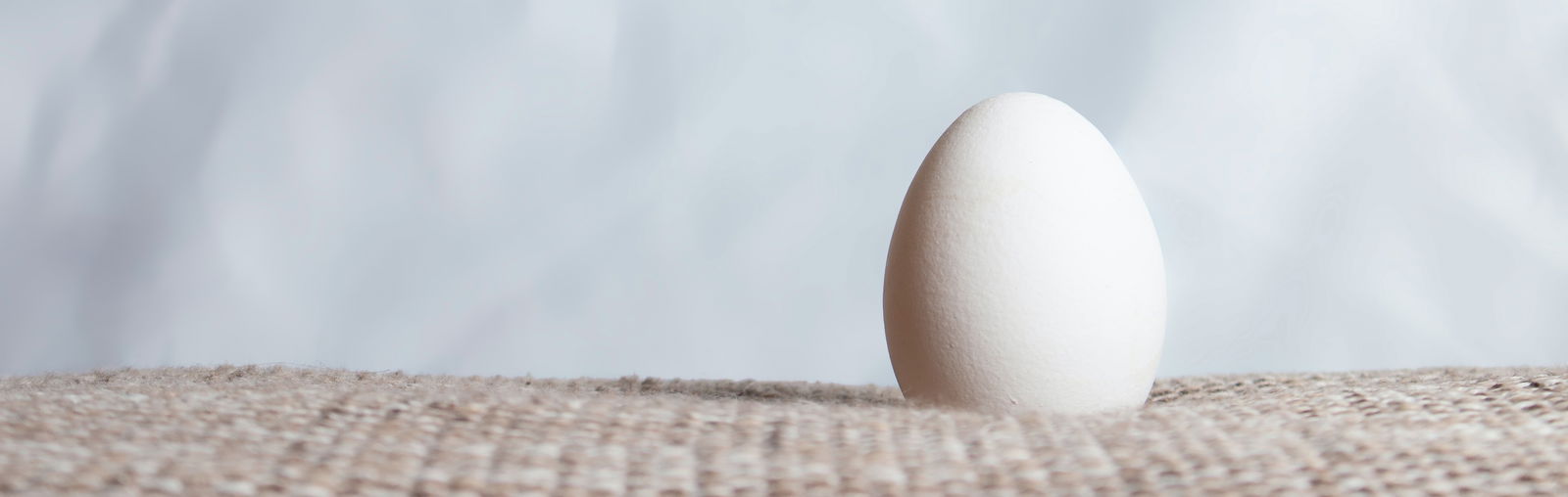 An Egg profile banner