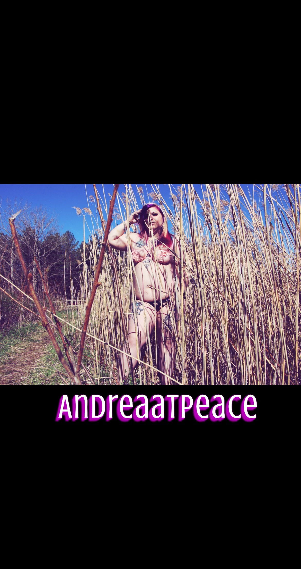 andreaatpeace banner
