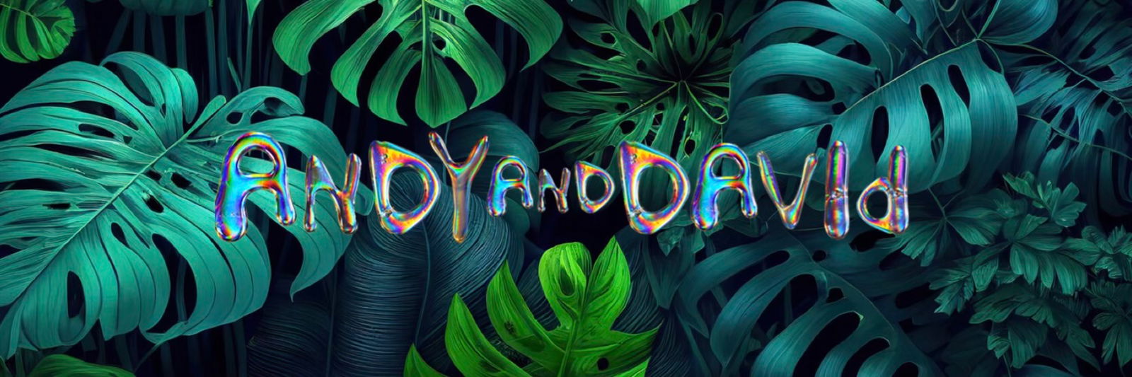 andyanddavidx banner