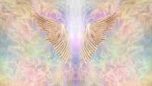 Angel Sage ♡ profile banner