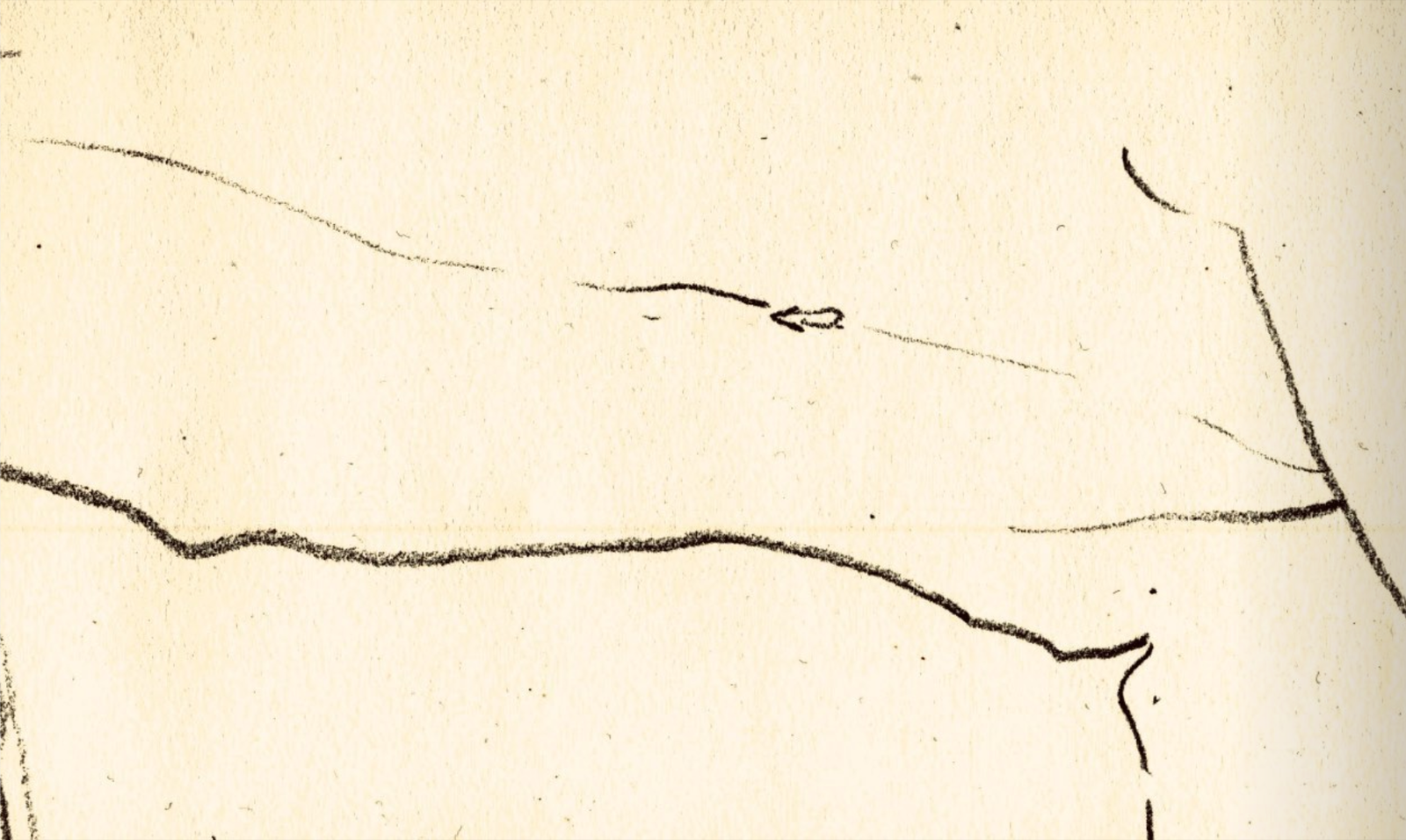 Angelica profile banner