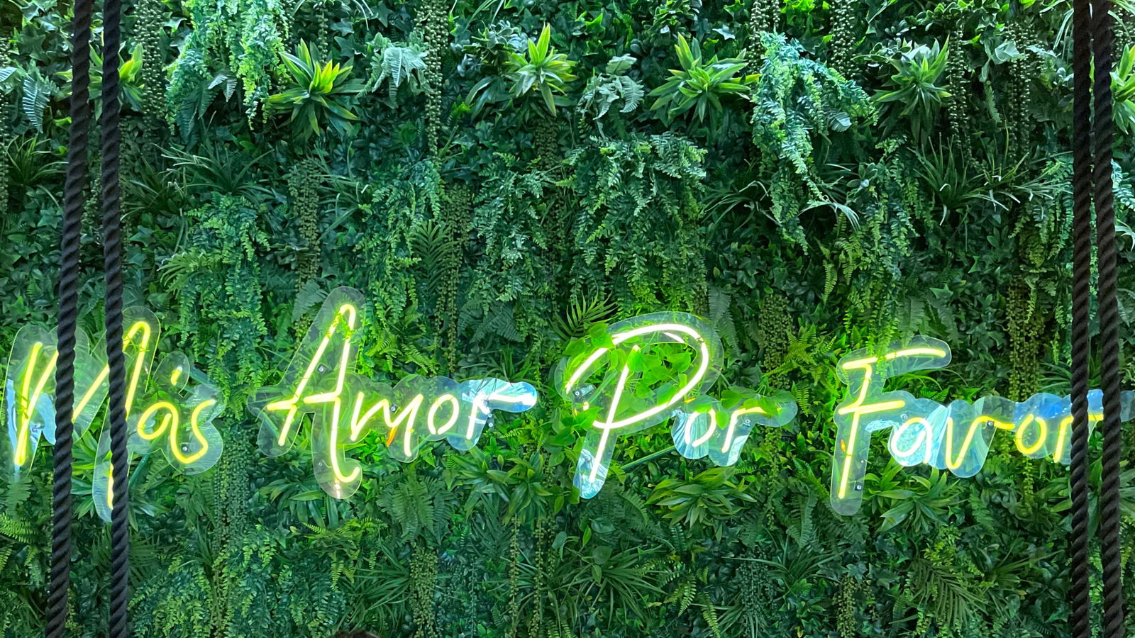 Mamí ❤️🔥 profile banner