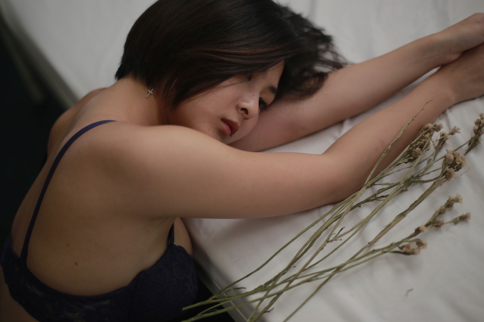 Aom profile banner