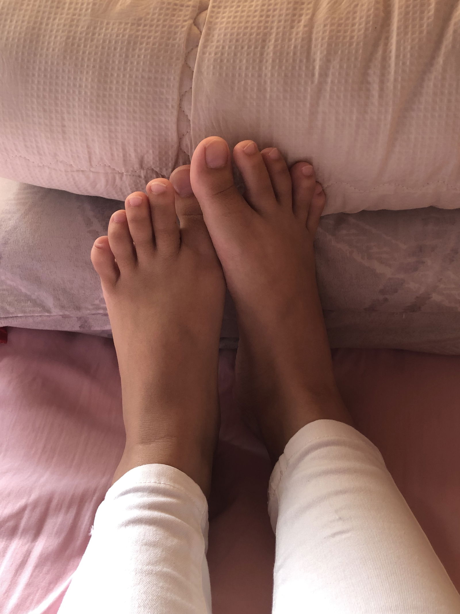 Ara’s Sticky Feets 🫶🏻 profile banner