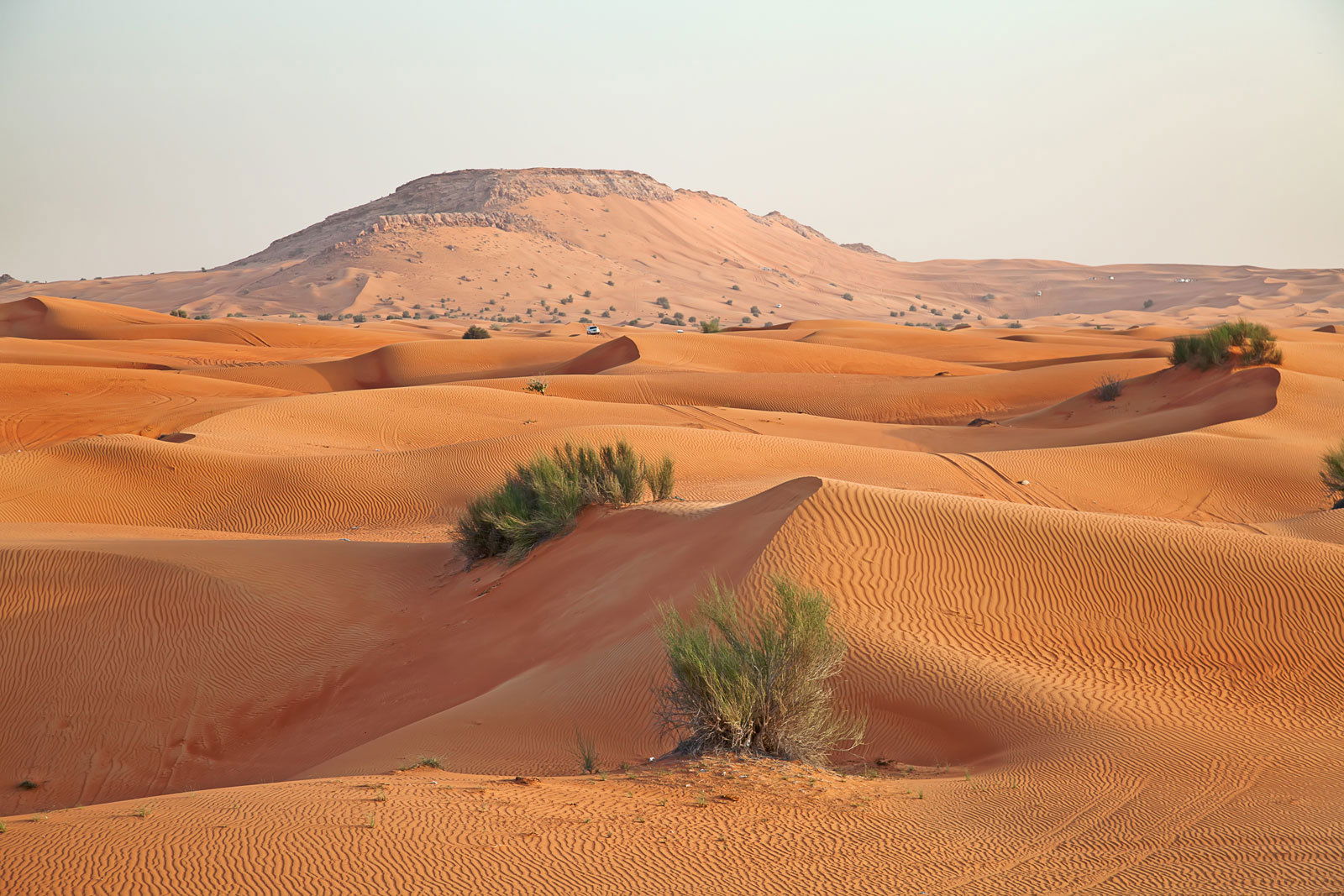Horny Arab Men profile banner