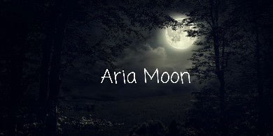 Aria Moon profile banner