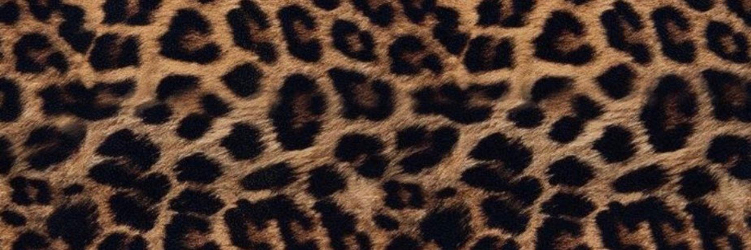 ARIA NA$TIE profile banner