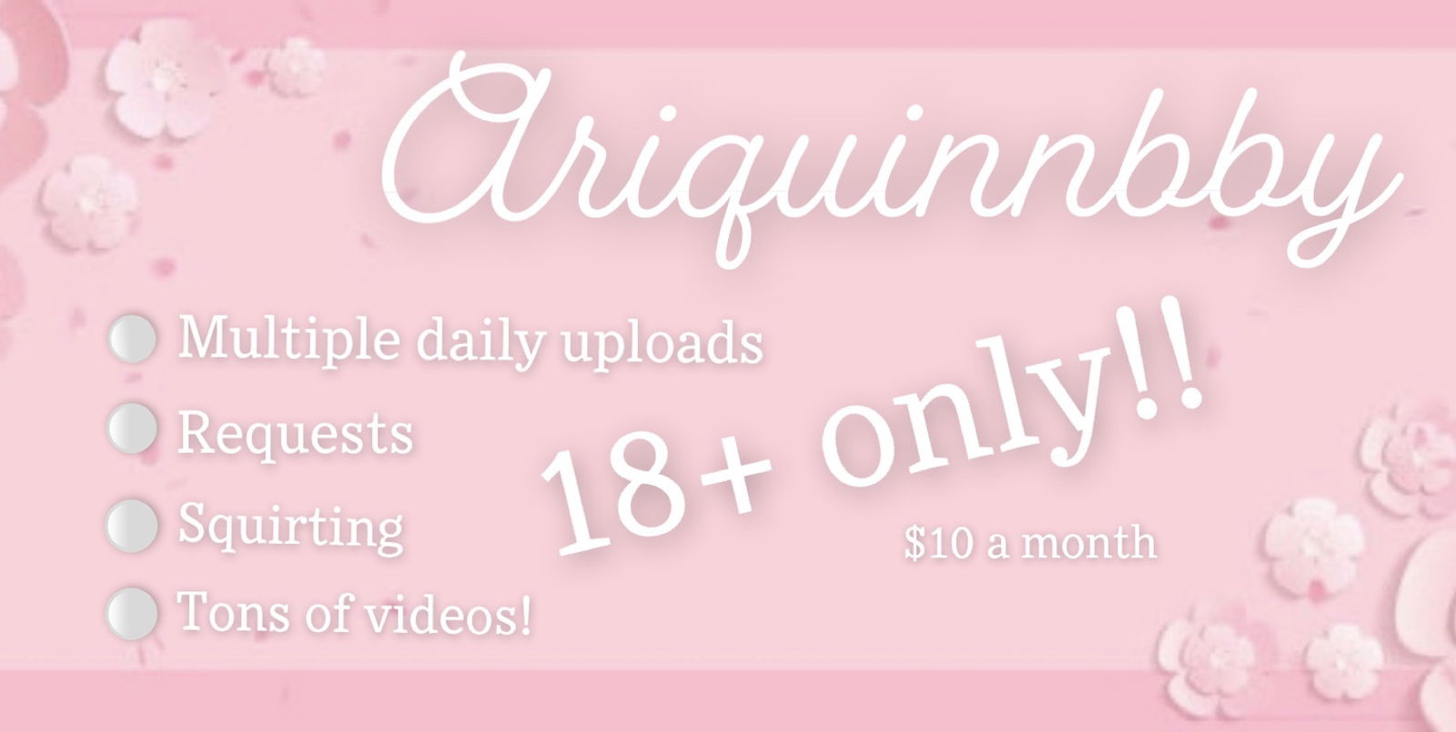 Arielle Quinn profile banner